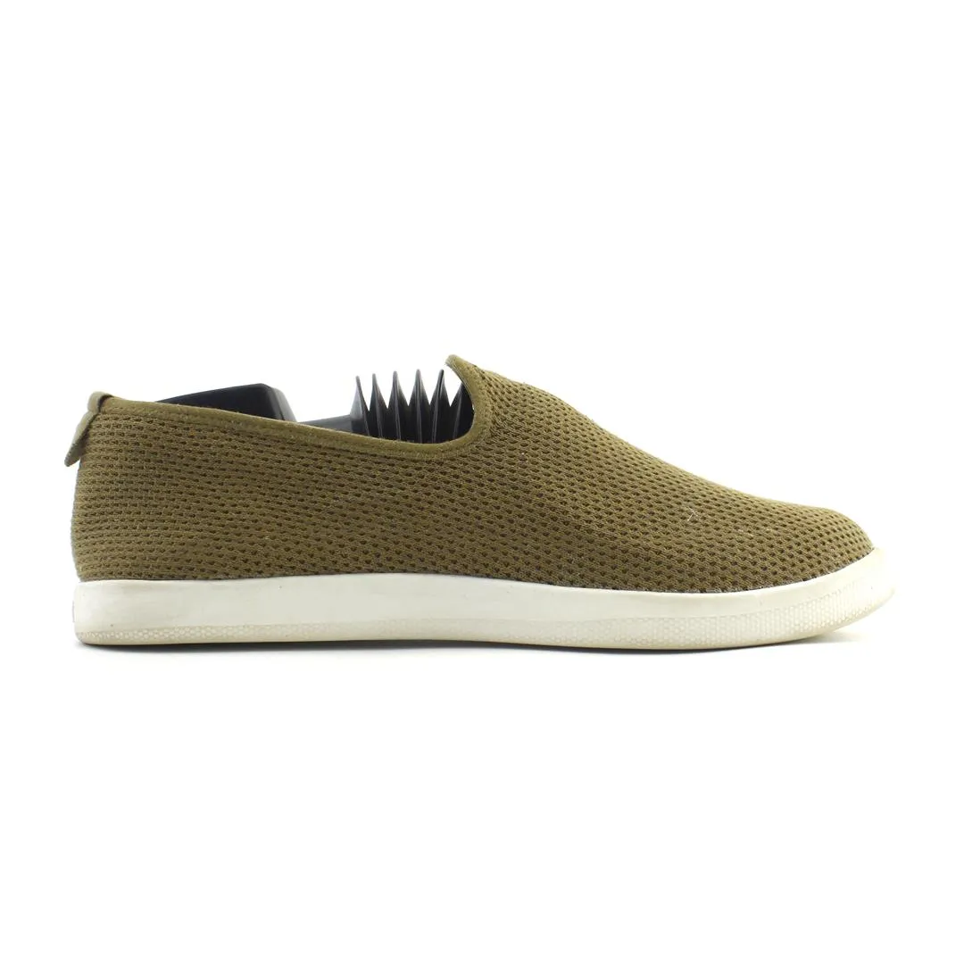 Allbirds Tree Loungers - LIMITED EDITION- African Grassland Green (White Sole) EX