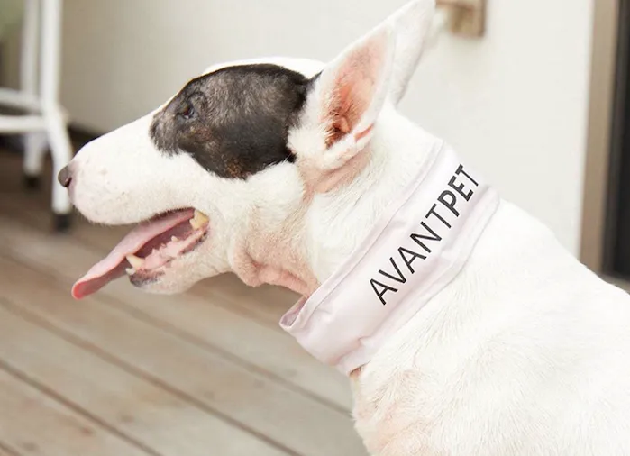 Avantpet - Premium Cooling Neckband