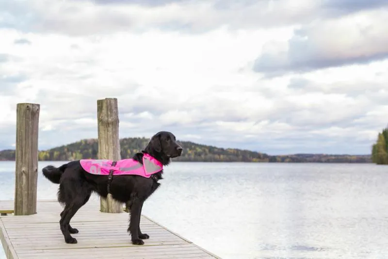 Flap Vest