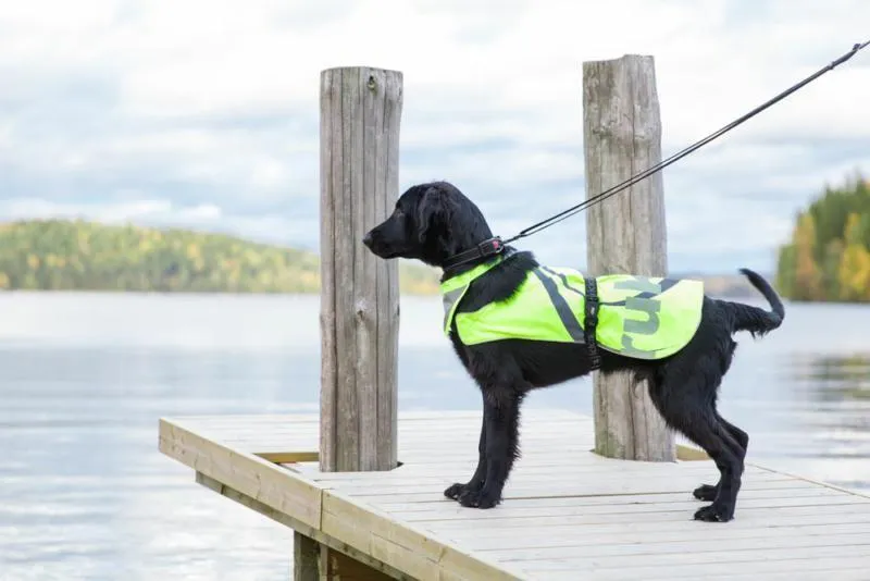 Flap Vest